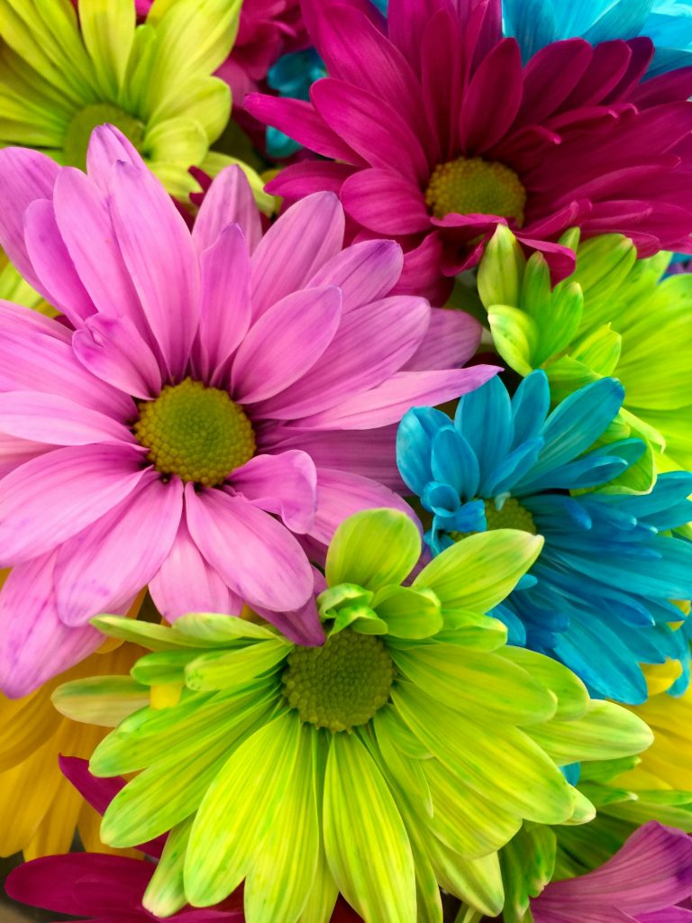 Flower Activities - May 2025